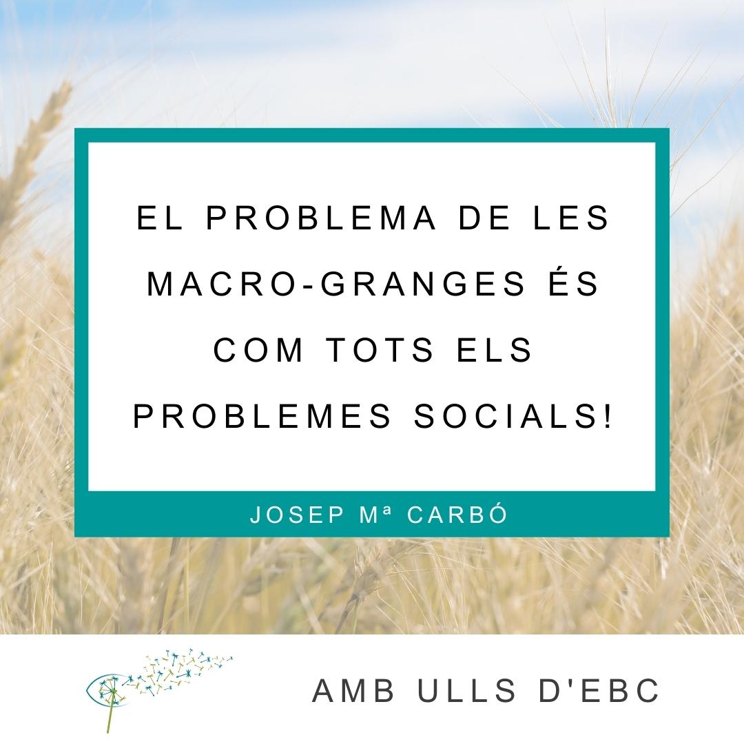 El problema de les macro-granges és com tots els problemes socials!